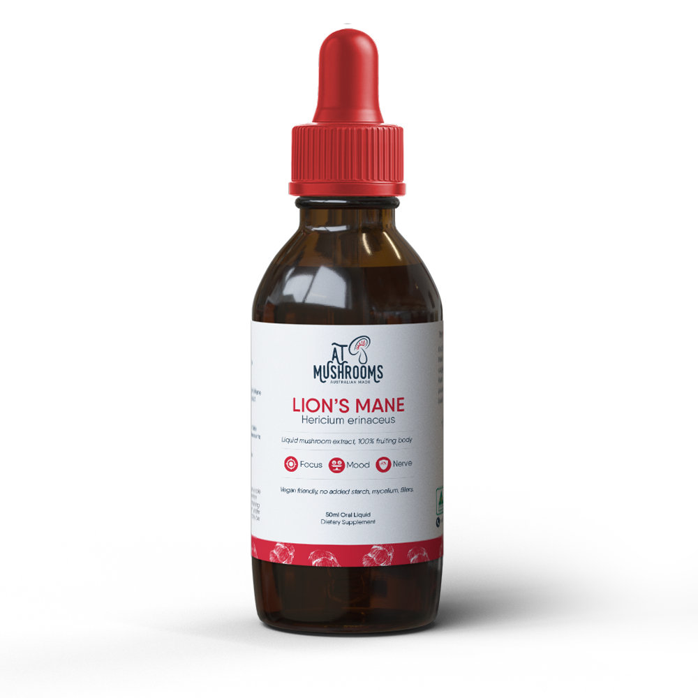 Lion's Mane Mushroom Extract