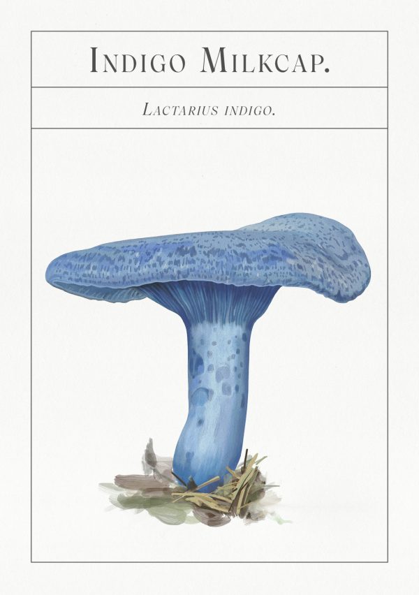 Deck of Mushrooms
