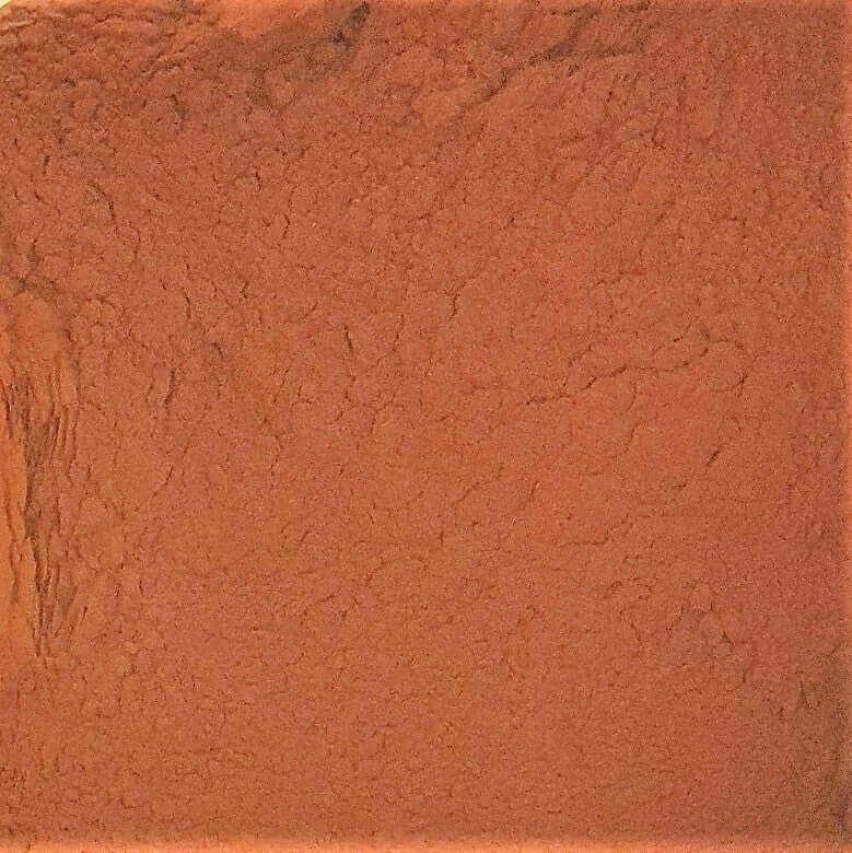Chaga powder