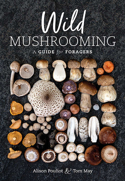 wild mushrooming book